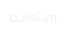 Caesium Brand - Home